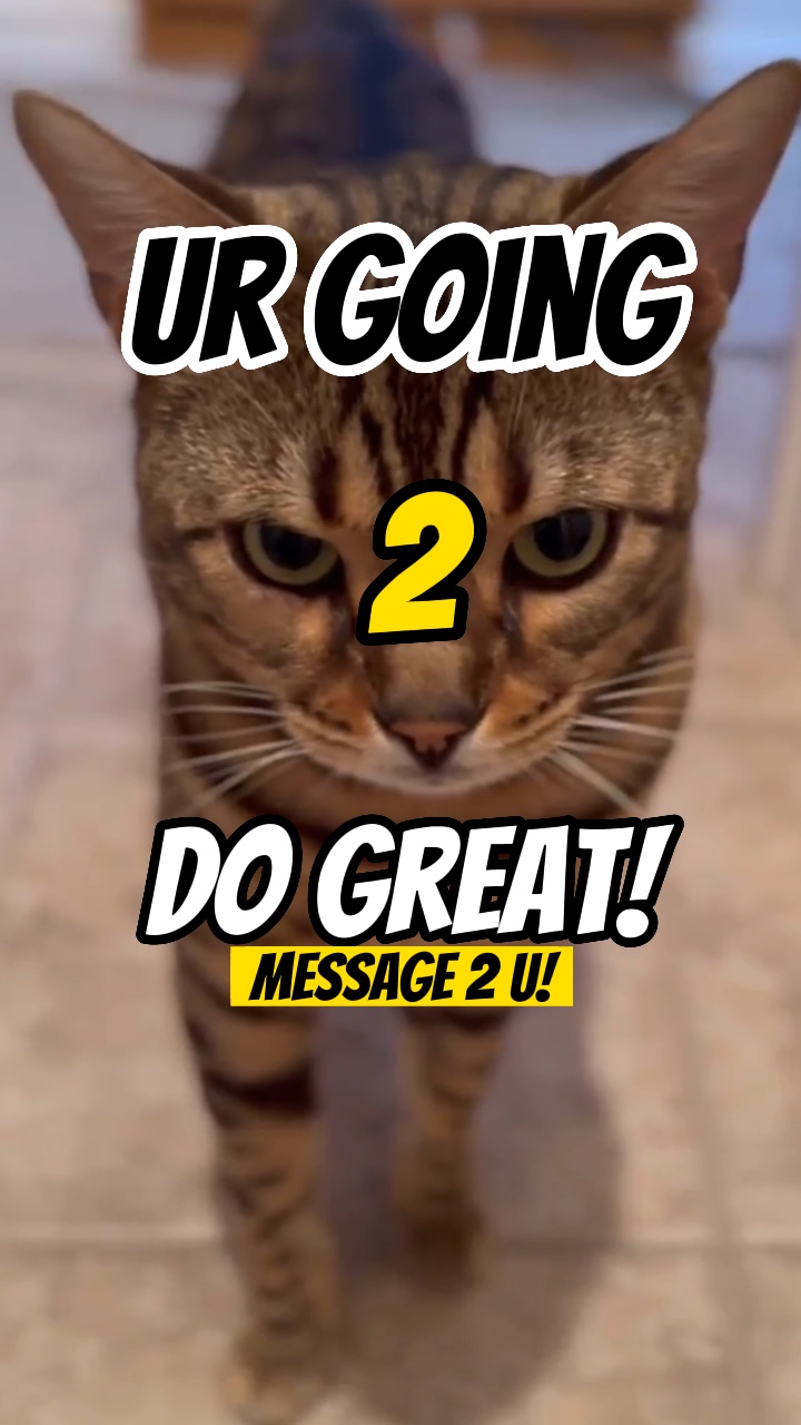 Ur going 2 tun großartig!