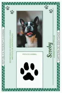 RG do seu Doguinho