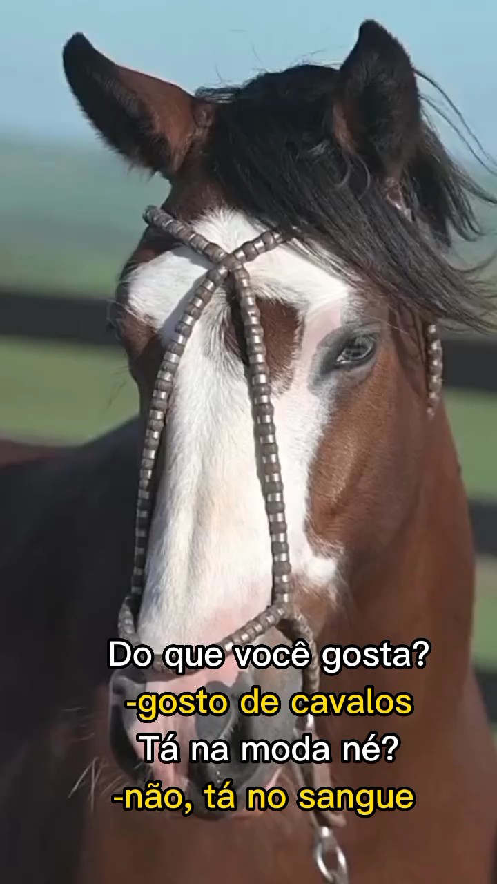 Tá no sangue