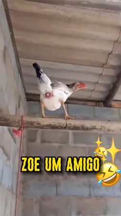 Mande o/ seu amigo(a