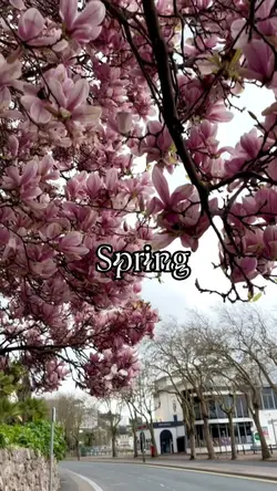 Spring
