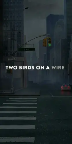 Tho birds on a wire