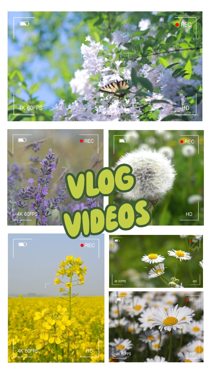 Vlog Style 