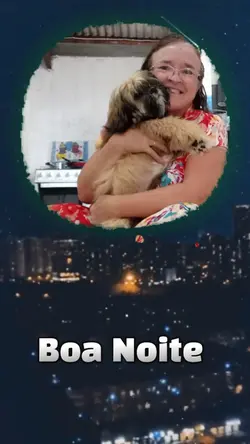 boa noite 