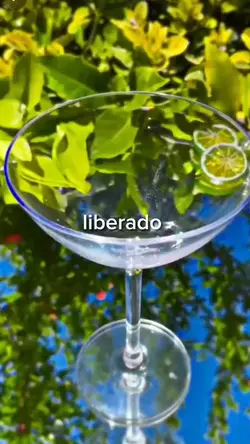 LIBERADO P/VDOS