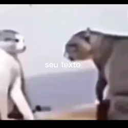 seu texto 