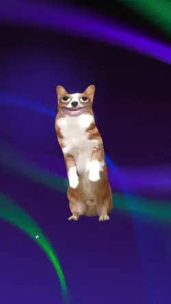 @fur_babies_for_life