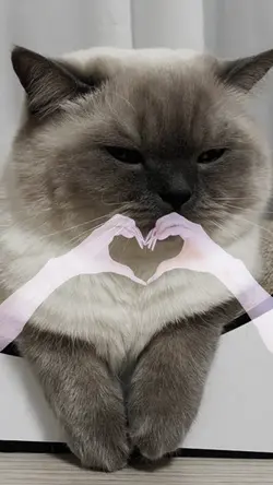 dancing hands 🫶🏻