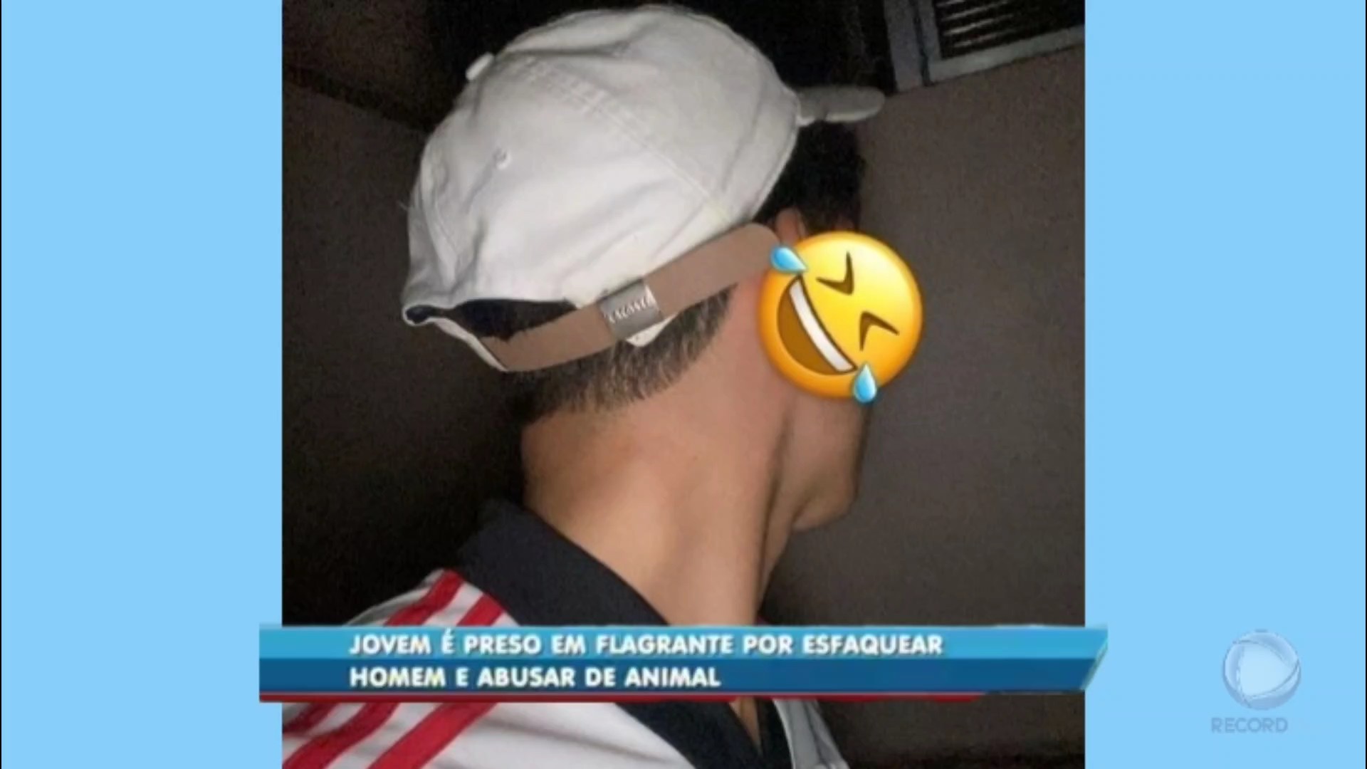 comedor de animal 