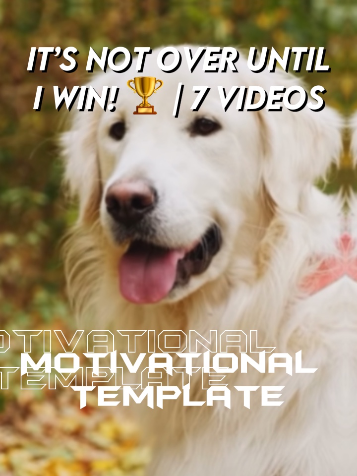 Until I WIN! 🏆