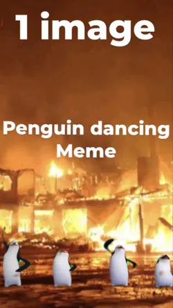 Penguin dancers