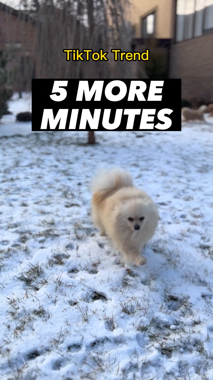 5 More Minutes