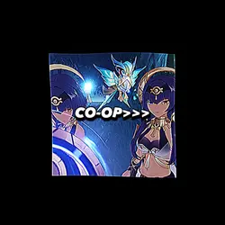 Co-Op 🫶🫶