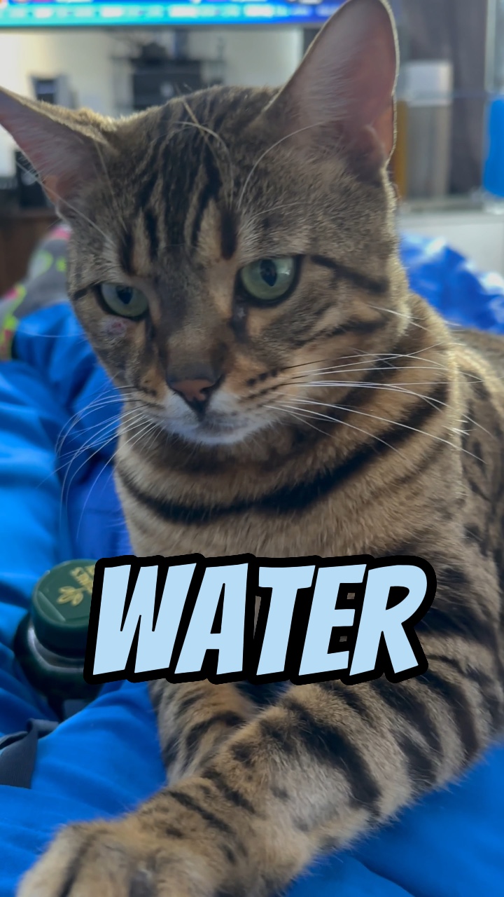 水拯救生命！ 