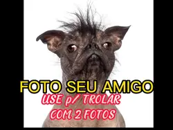 TROLAGEM HUMOR RISOS