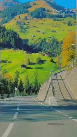 Usem foto/vídeo 💫