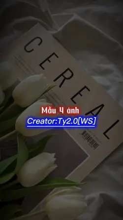 Mẫu 4 ảnh 