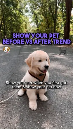 Your pet then v now🥺