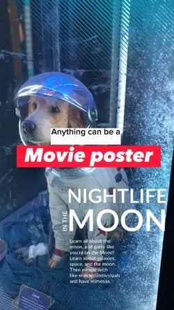 Movie poster