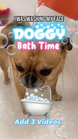 Doggy Bath Time!