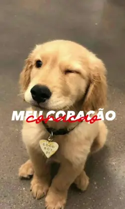 Meu coração acerola