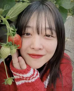 Sulli;(