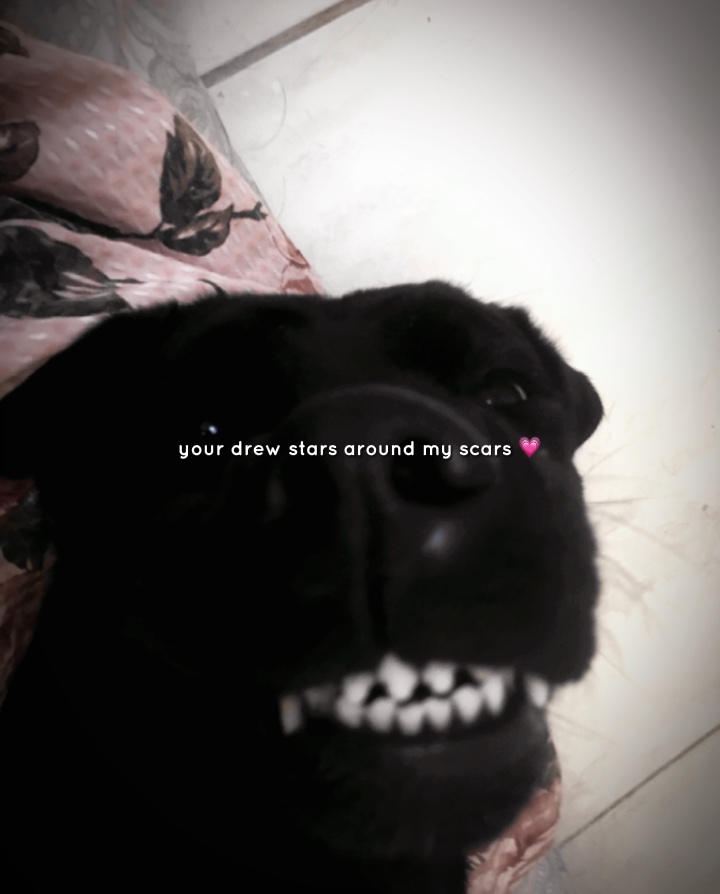 ily <3 |