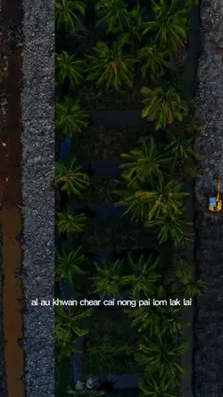 Mẫu Vòng Lặp_ Lyric