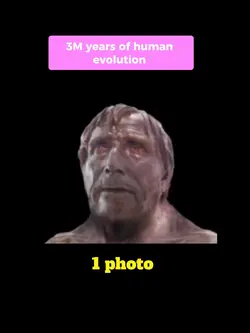 History 