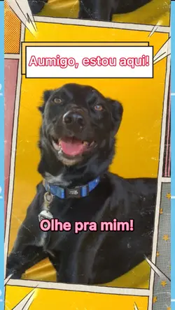 Aumigo, estou aqui!