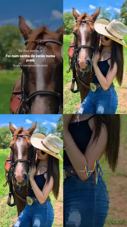 vaquejada.