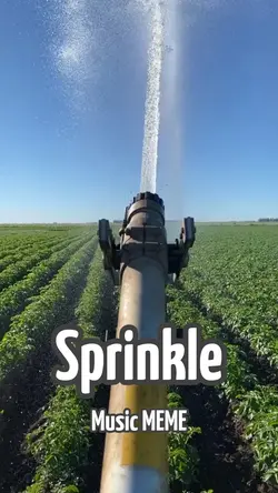 Sprinkler meme