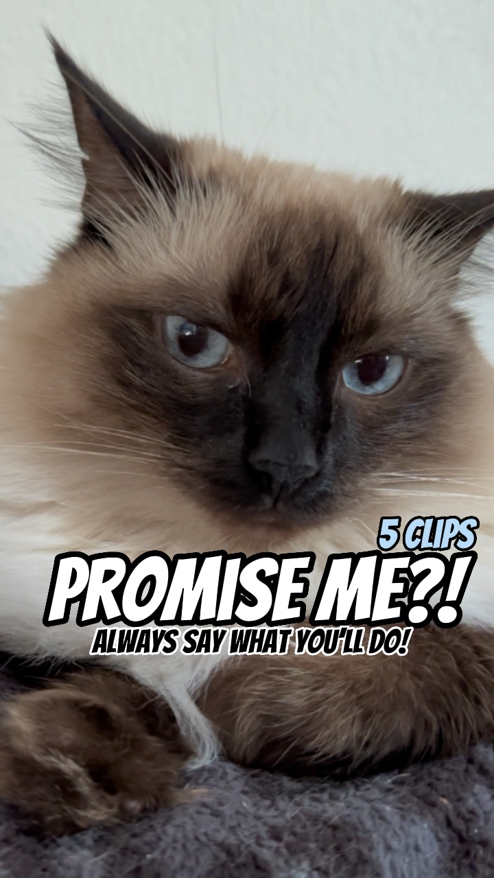 Promise me?!