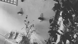 Câmera de segurança 