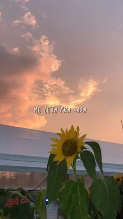 ME LEVA PRA CASA 