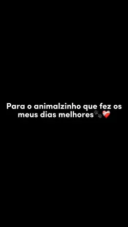 Eu cachorro morreu 🥺