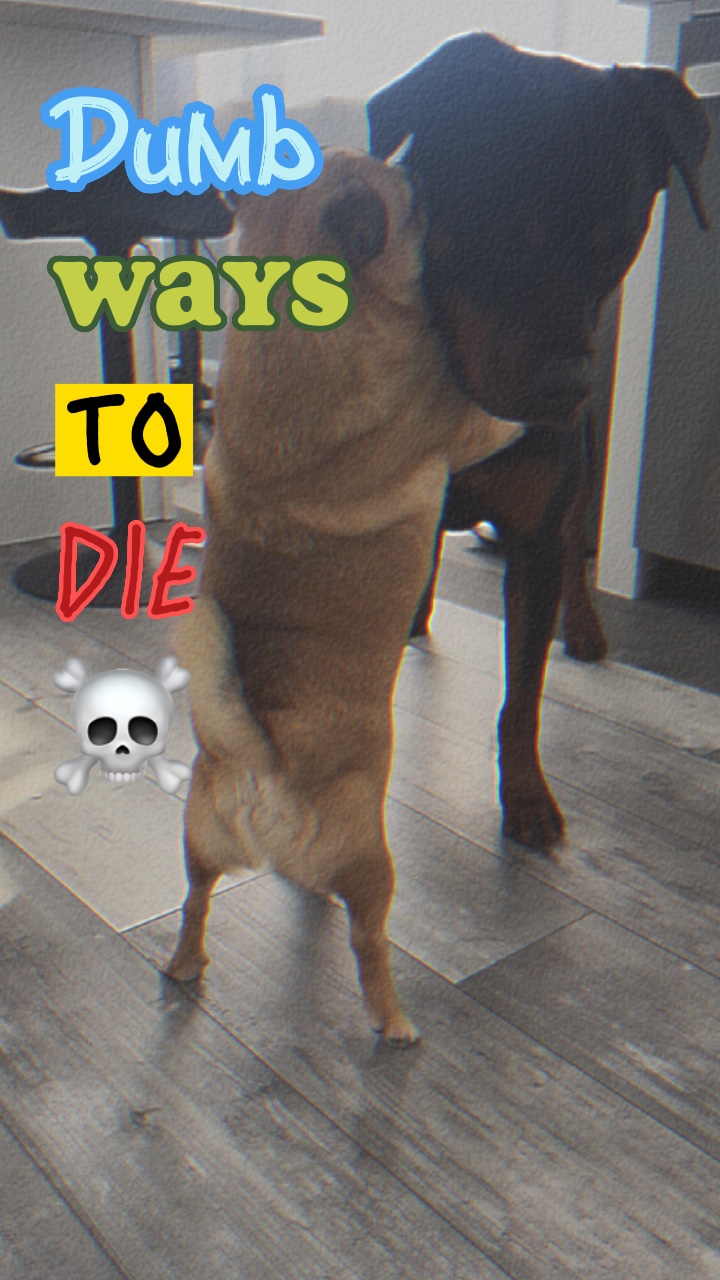 Dumme Wege zur ☠️