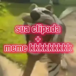 EDIT CLIPADA