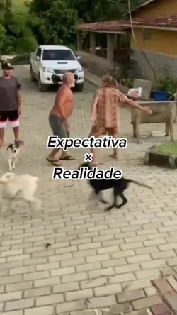 Expectativa×realidad