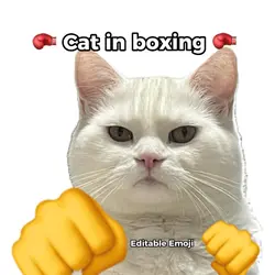 Cat in boxing