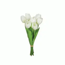 ─ Tu sabe jgr vôlei?