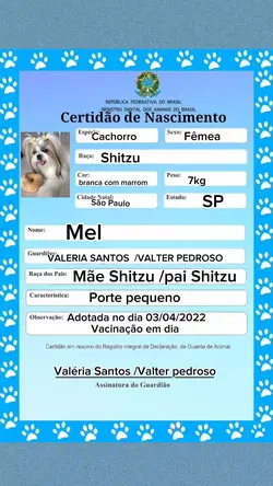 CERTIDÃO  DO MEU PET