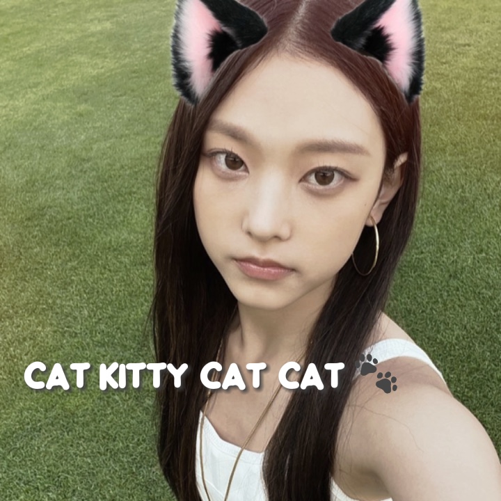 Gato gatito gato gato 😽🐾