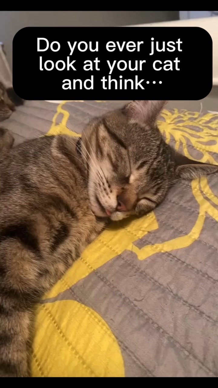 Aku cinta kamu 💕 