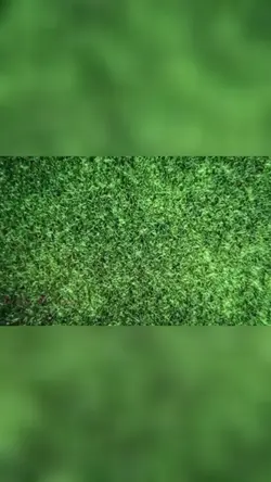 MAIS UM GOL