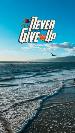 Never Give Up