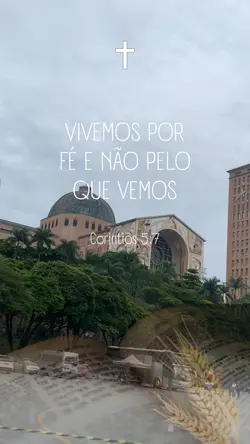 Aparecida frase 