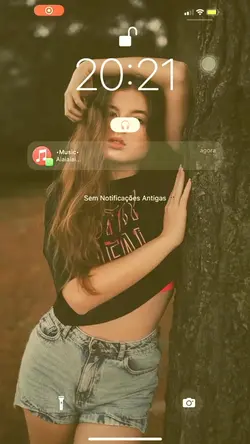 Notificação