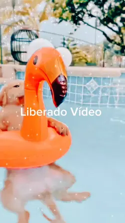 Liberando video 