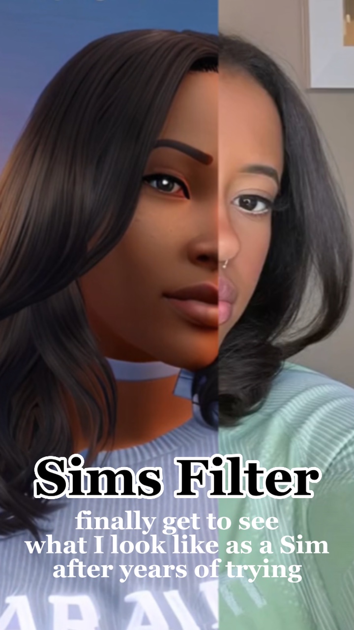 Sims Filter
